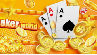 南宫app2024最新版